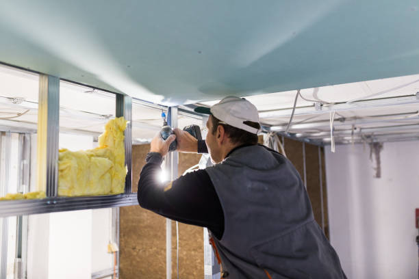 Best Spray Foam Insulation in Harrison, MI