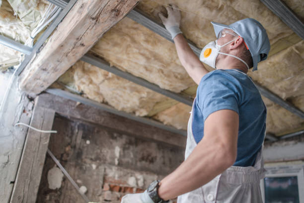 Best Fiberglass Insulation in Harrison, MI