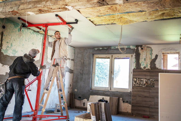Best Residential Insulation in Harrison, MI