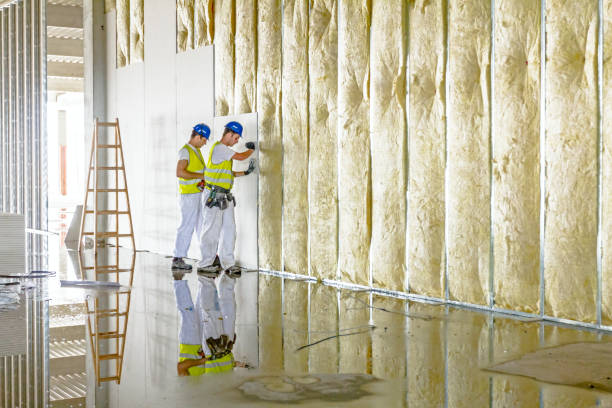 Best Energy Efficiency Insulation in Harrison, MI
